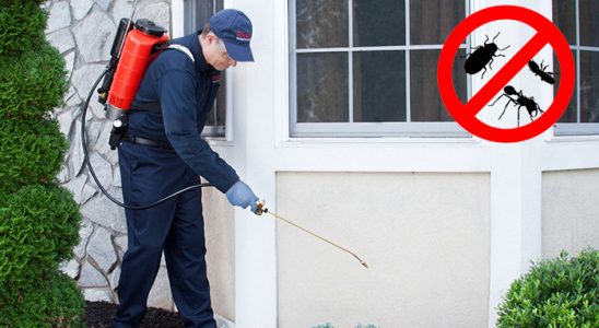 Akçakoca Karınca İlaçlama böcek ilaçlama ve haşere kontrolü — ilaclama-tr.com